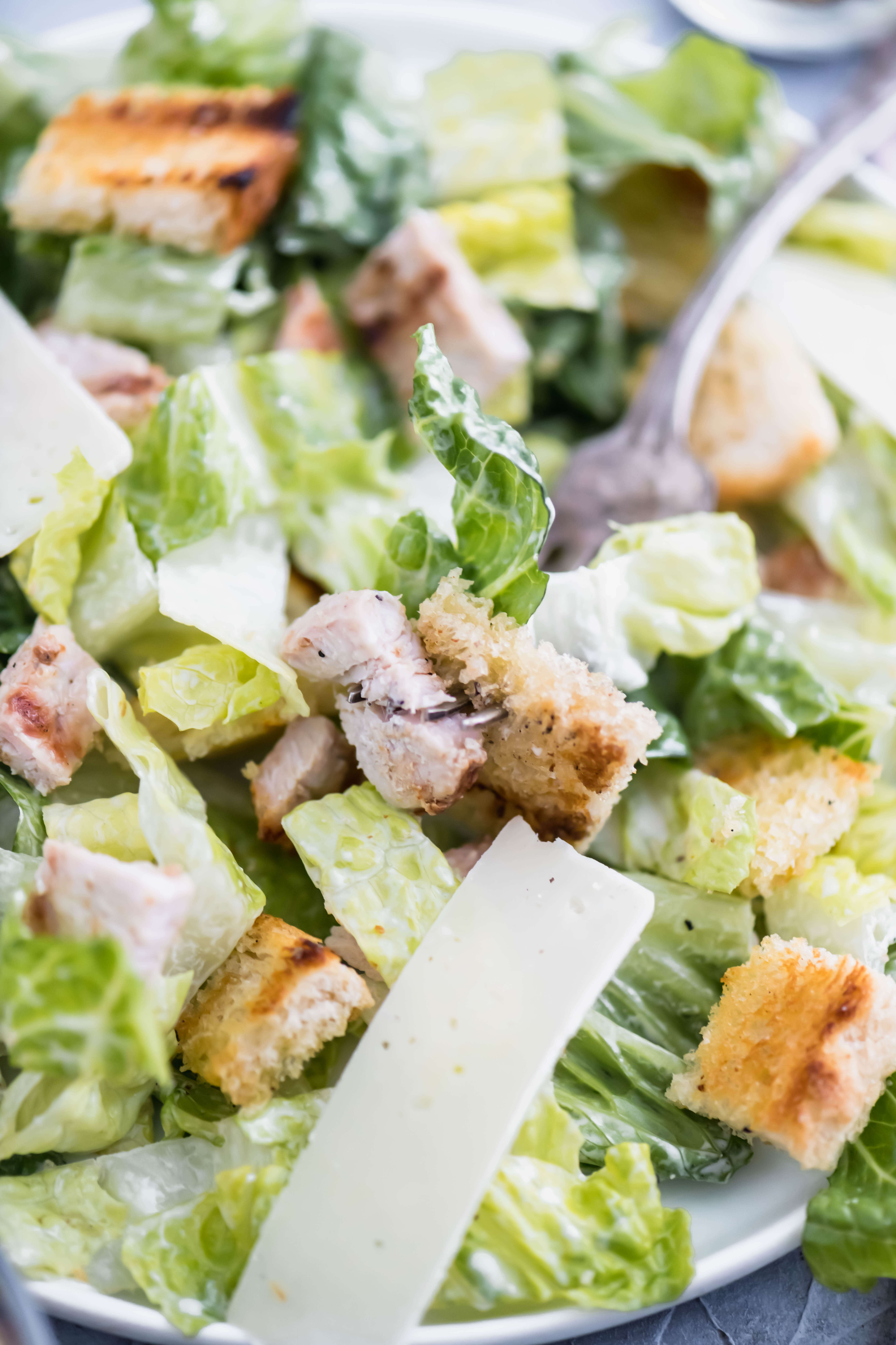 close up shot of turkey caesar salad in a bowl